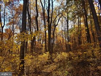 APPALACHIAN ESTS - Residential