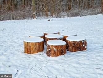 APPALACHIAN ESTS - Residential