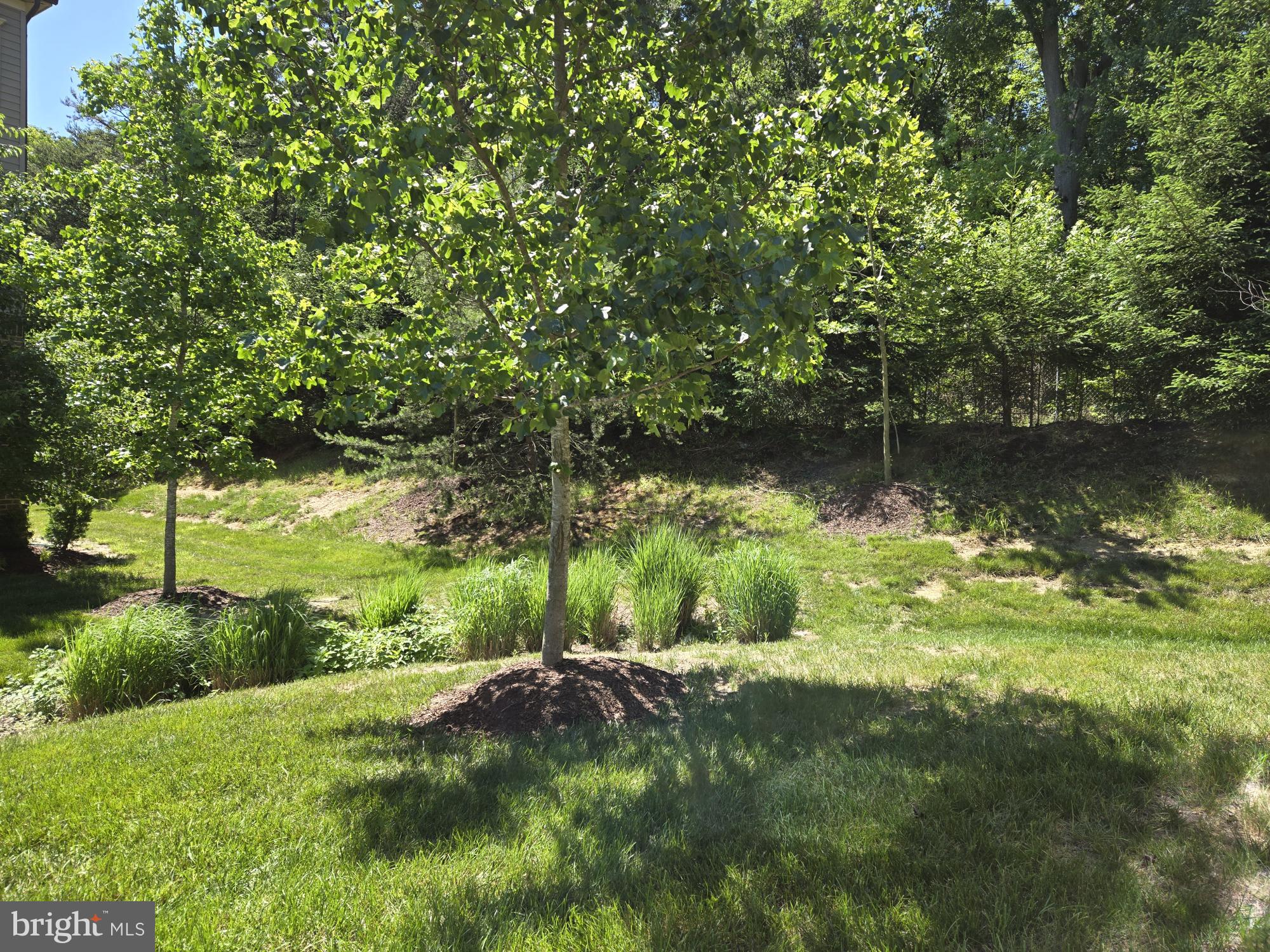 7415 TENNISON LANE