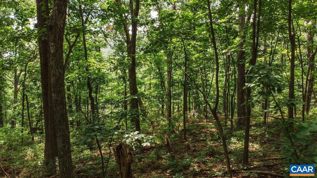 WINTERGREEN RESORT - Land