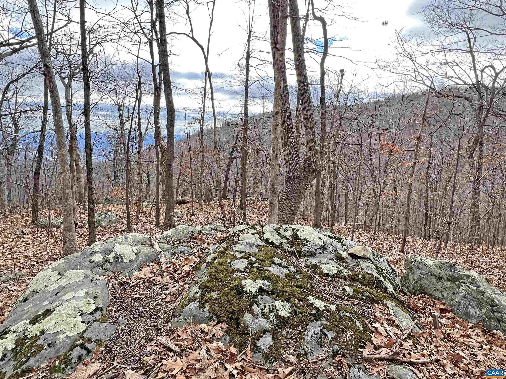 WINTERGREEN RESORT - Land