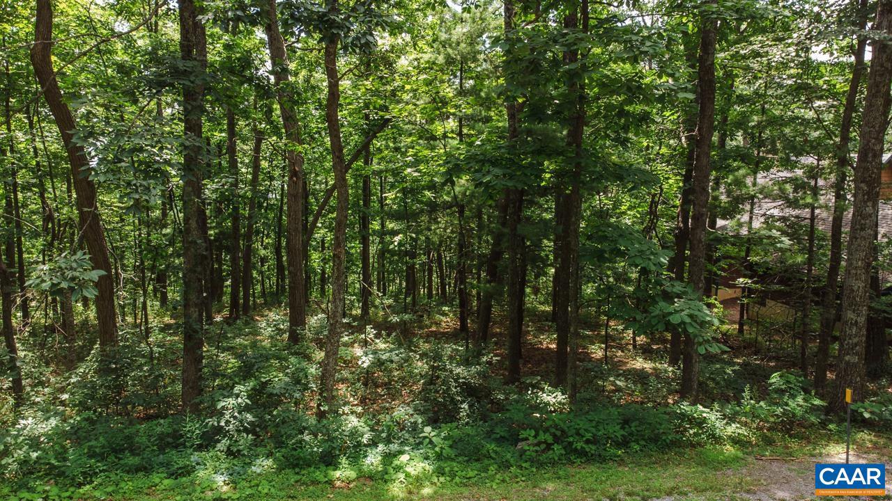 WINTERGREEN RESORT - Land