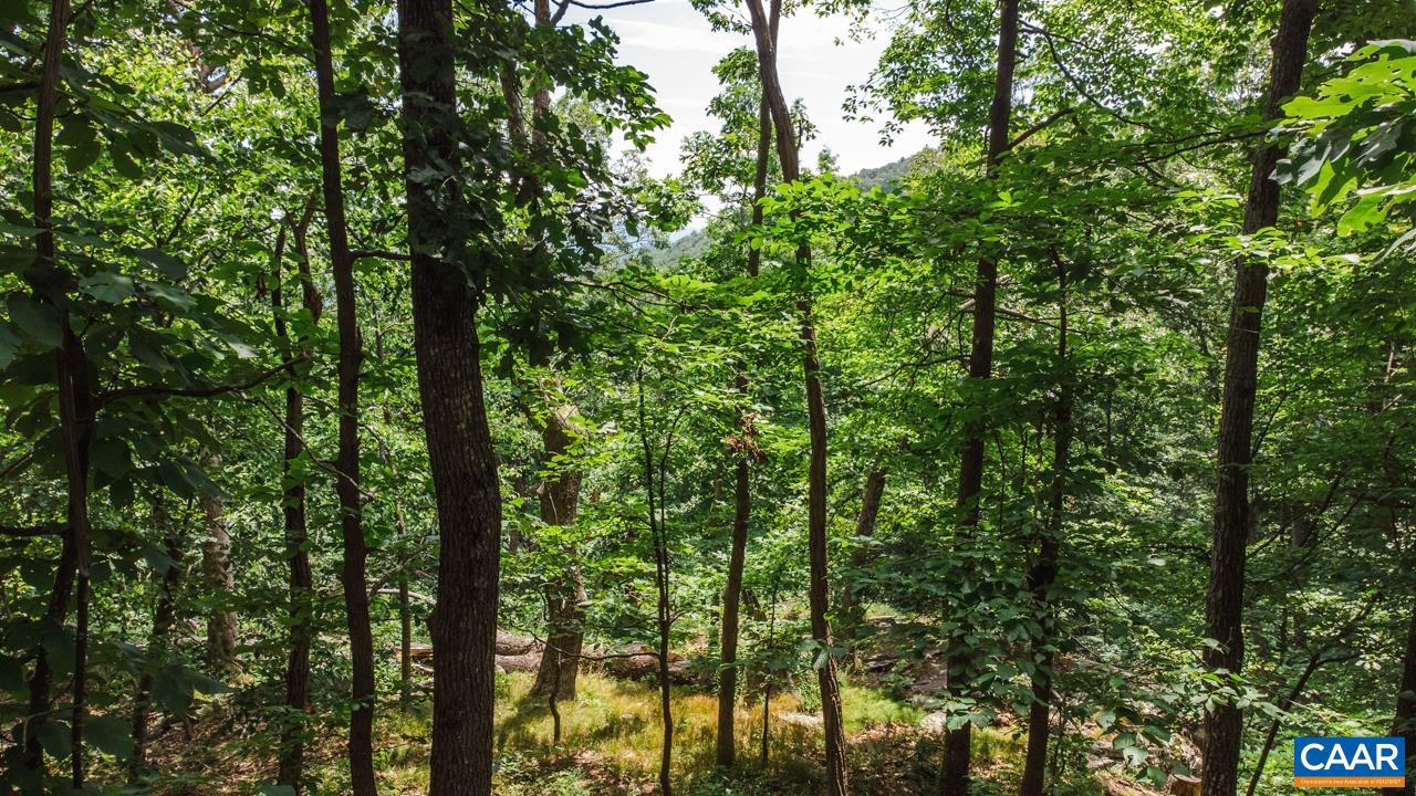 WINTERGREEN RESORT - Land