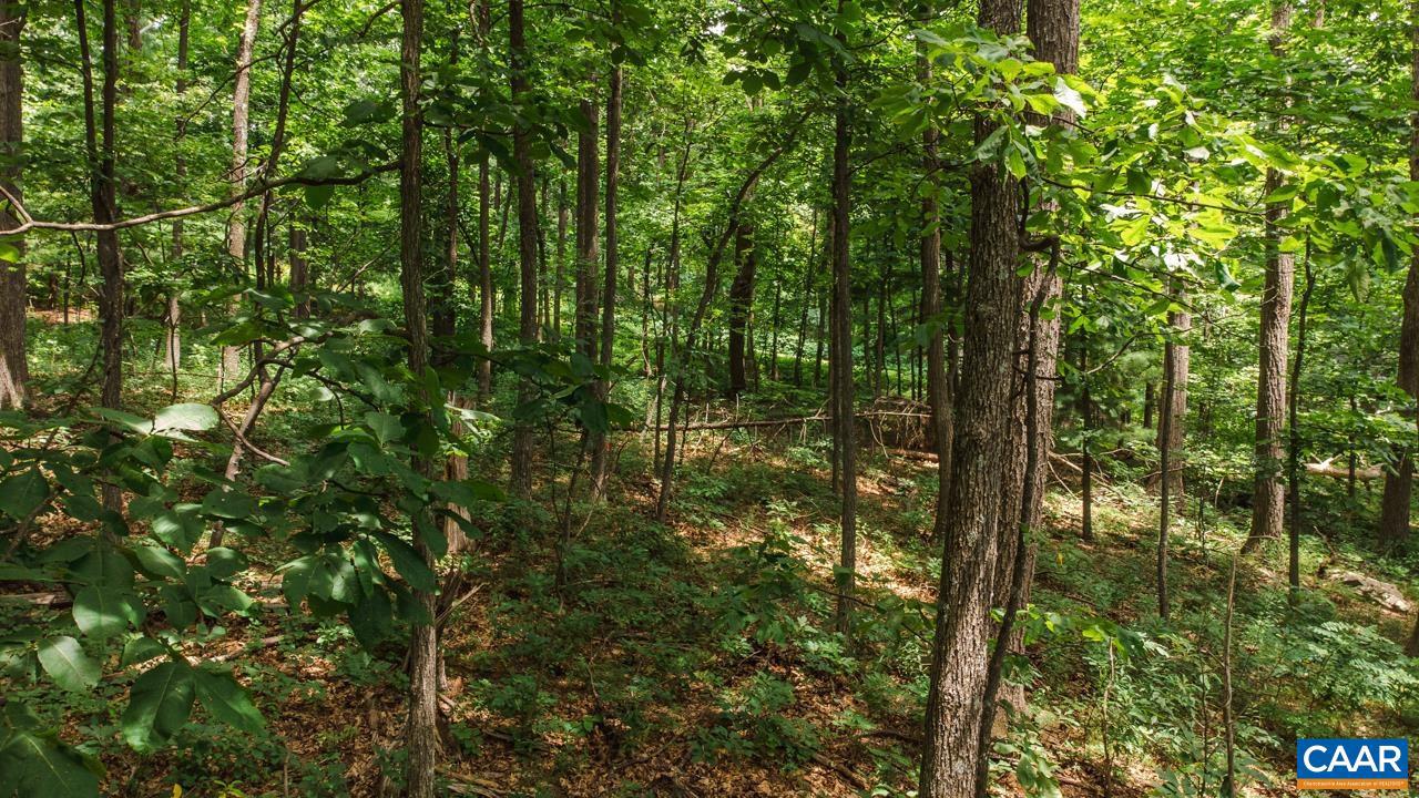 WINTERGREEN RESORT - Land