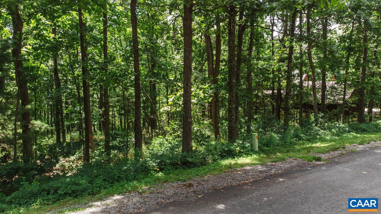 WINTERGREEN RESORT - Land