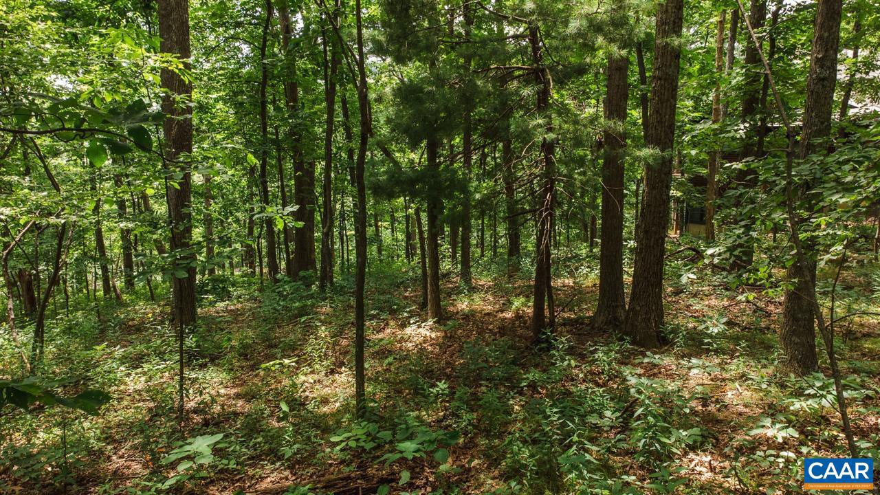 WINTERGREEN RESORT - Land