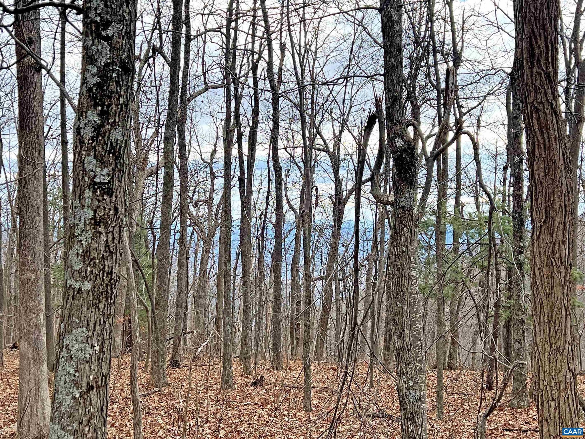 WINTERGREEN RESORT - Land