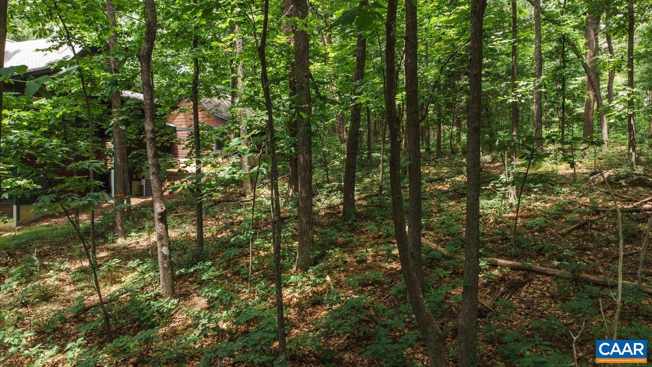 WINTERGREEN RESORT - Land