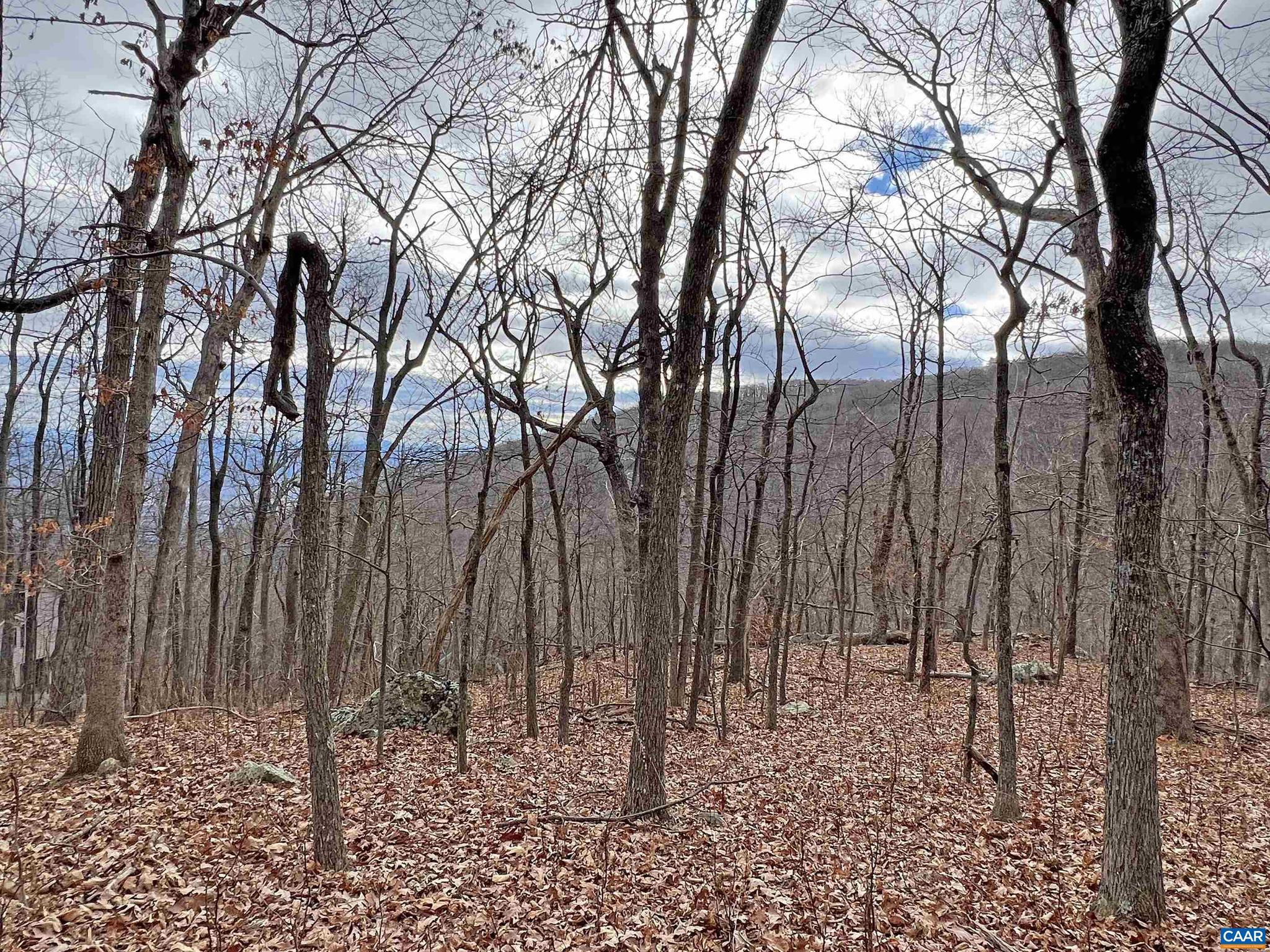 WINTERGREEN RESORT - Land