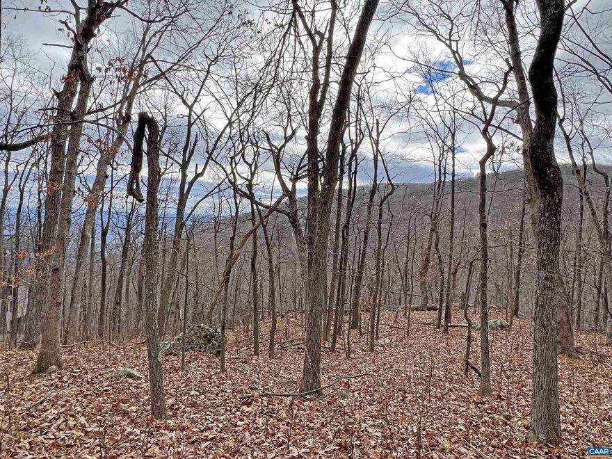 Beautiful gently sloping lot located on a quiet street with only a handful of homes. Wonderful seasonal views of the Shamokin Gorge. It is possible that with careful selection and placement of the future home, you could get a window of all-year-round views. The terrain of the lot is very builder-friendly and it has both level and gently sloping building sites, allowing great flexibility in building floor plans. The access to the Old AT is right across the street from your future house's front yard. Walk a few yards on the trail and you will get to the beautiful Shamokin Springs. Several other hiking trail access points are at a convenient walk from this lot. Very quiet area of Wintergreen, and yet only a short drive to the resort amenities, like golf, tennis, and Spa.