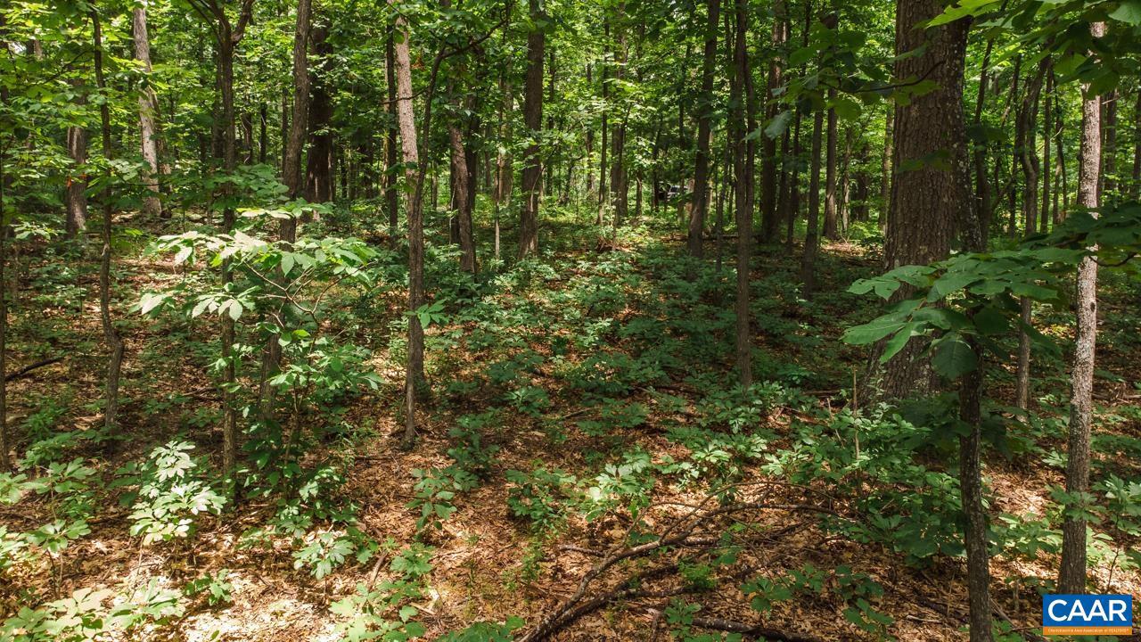 WINTERGREEN RESORT - Land