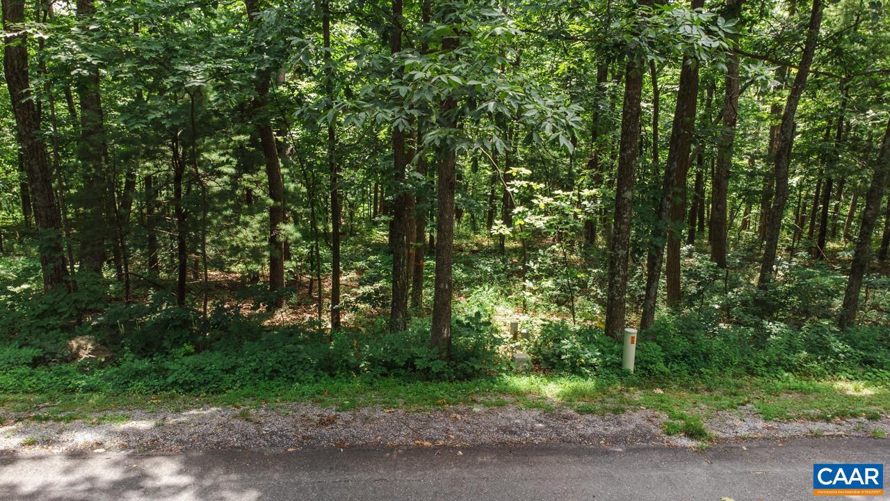 WINTERGREEN RESORT - Land