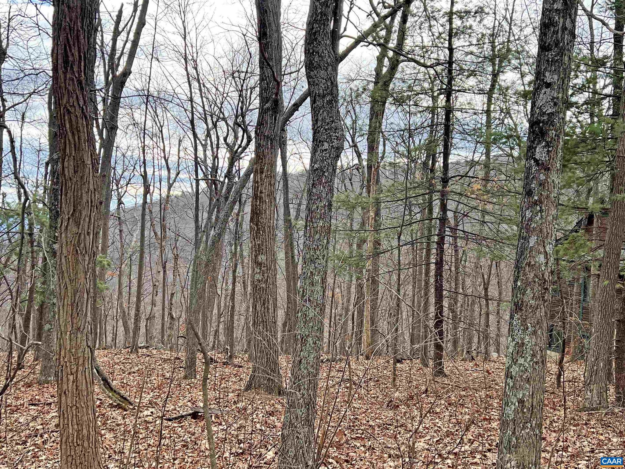 WINTERGREEN RESORT - Land