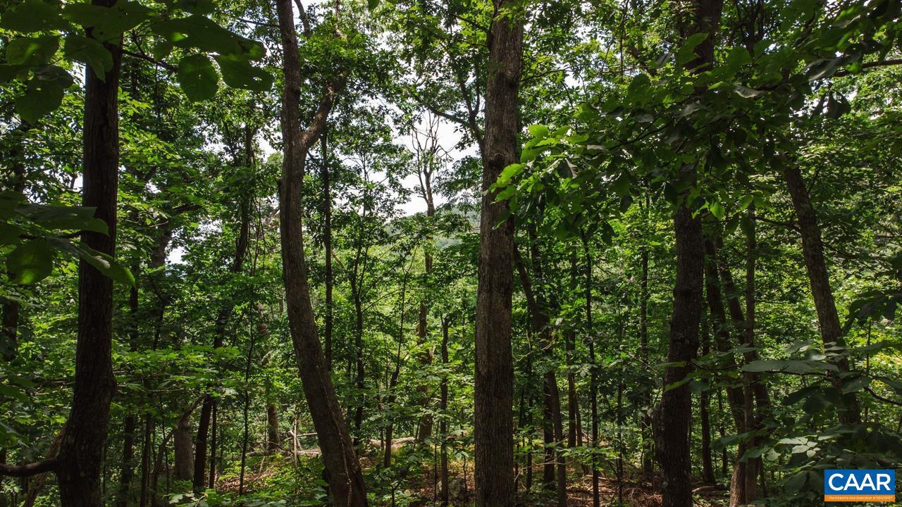 WINTERGREEN RESORT - Land