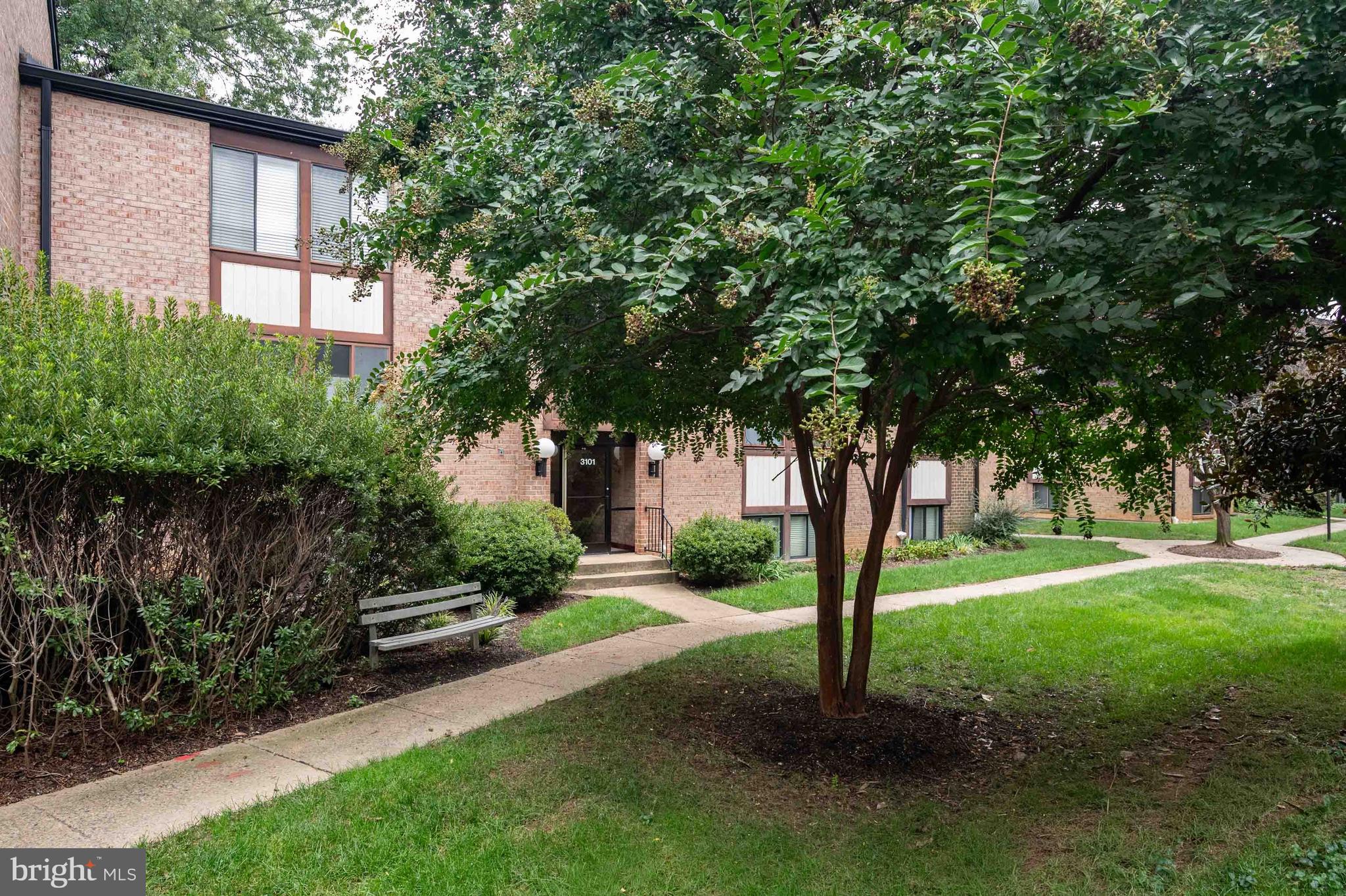 3101 BUCCANEER COURT 1