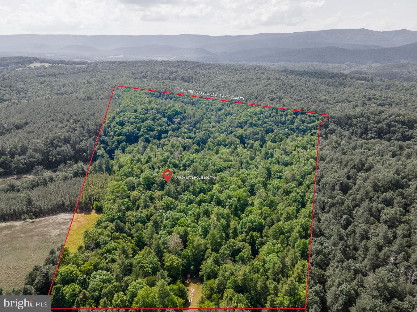 1499 BUGGY RIDGE ROAD