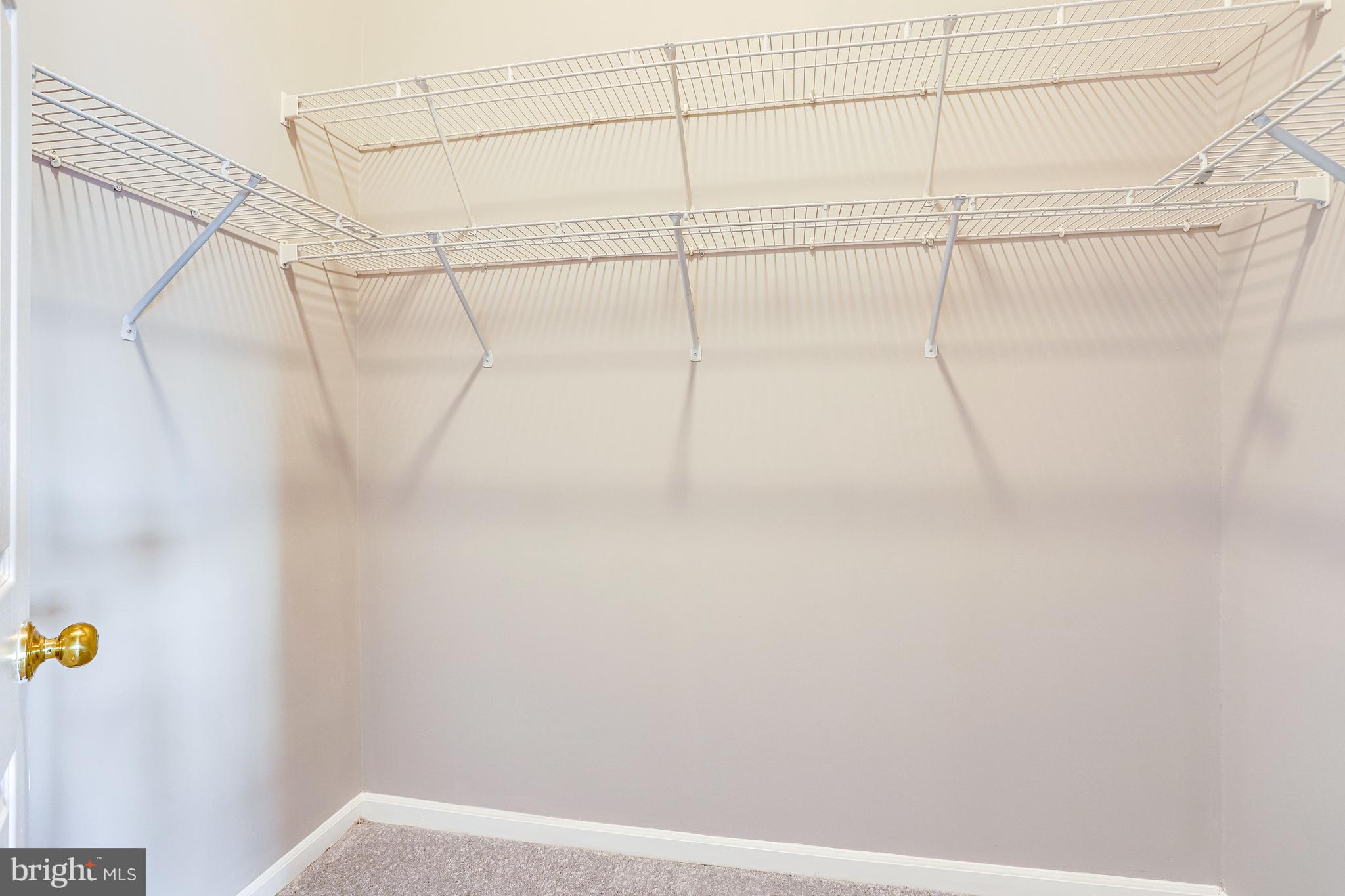 BELMONT GREENE - Residential Lease