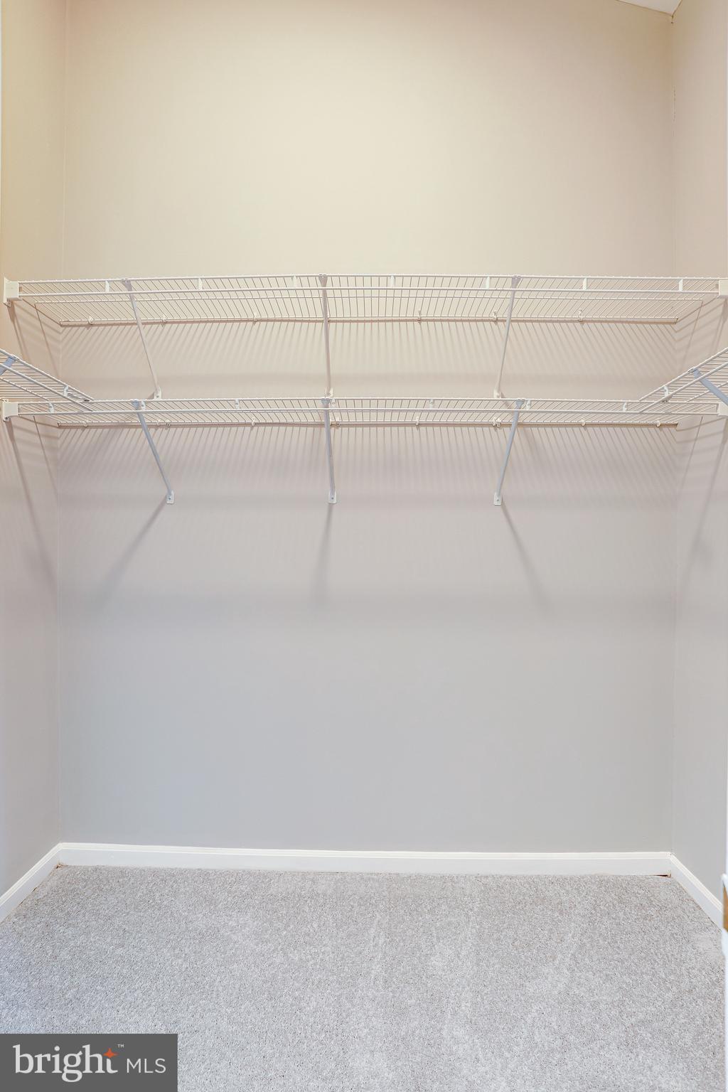 BELMONT GREENE - Residential Lease