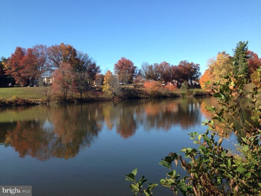 MONTGOMERY VILLAGE - Residential Lease