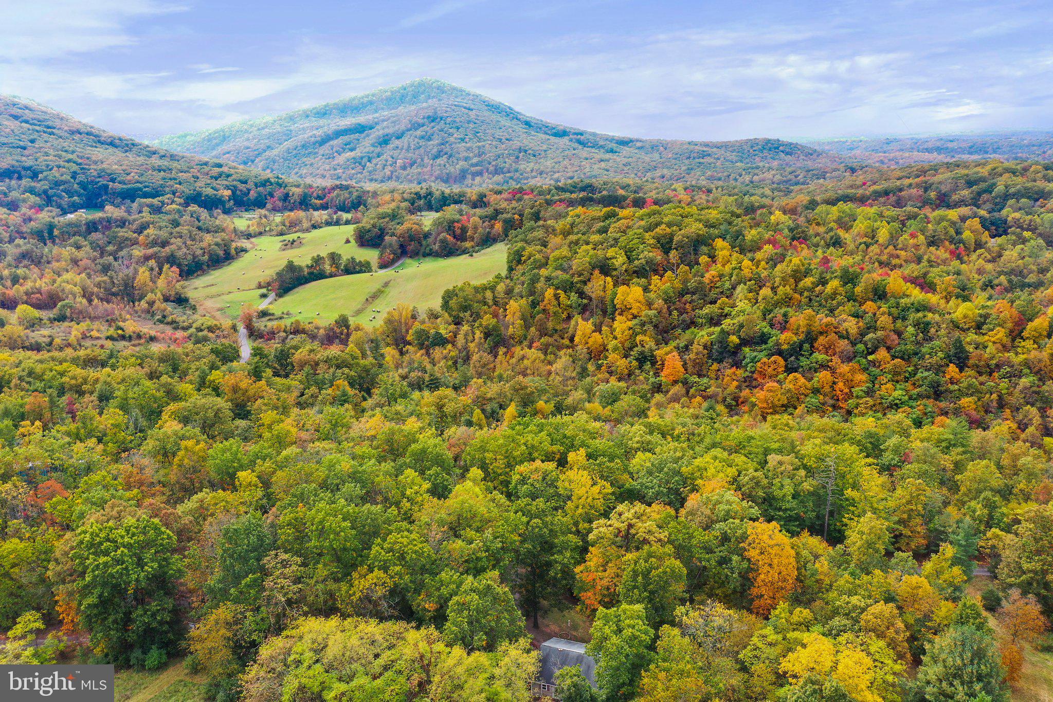 CHESTNUT GROVE - Residential