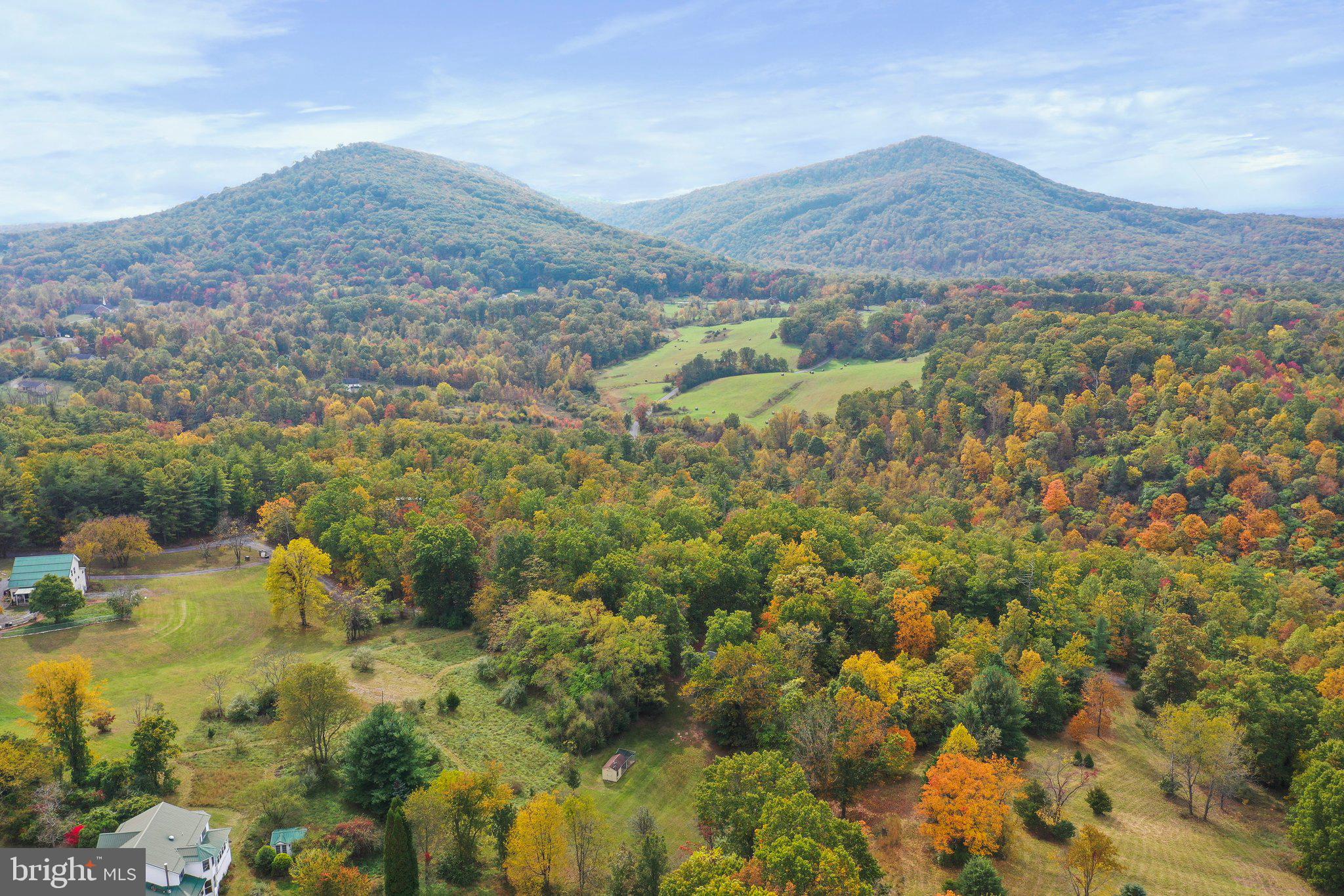 CHESTNUT GROVE - Residential