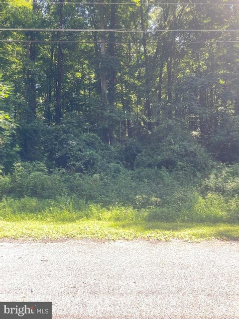 Vacant Land For Sale - Sheldrake Drive<br/> CHESTERTOWN, MD 21620