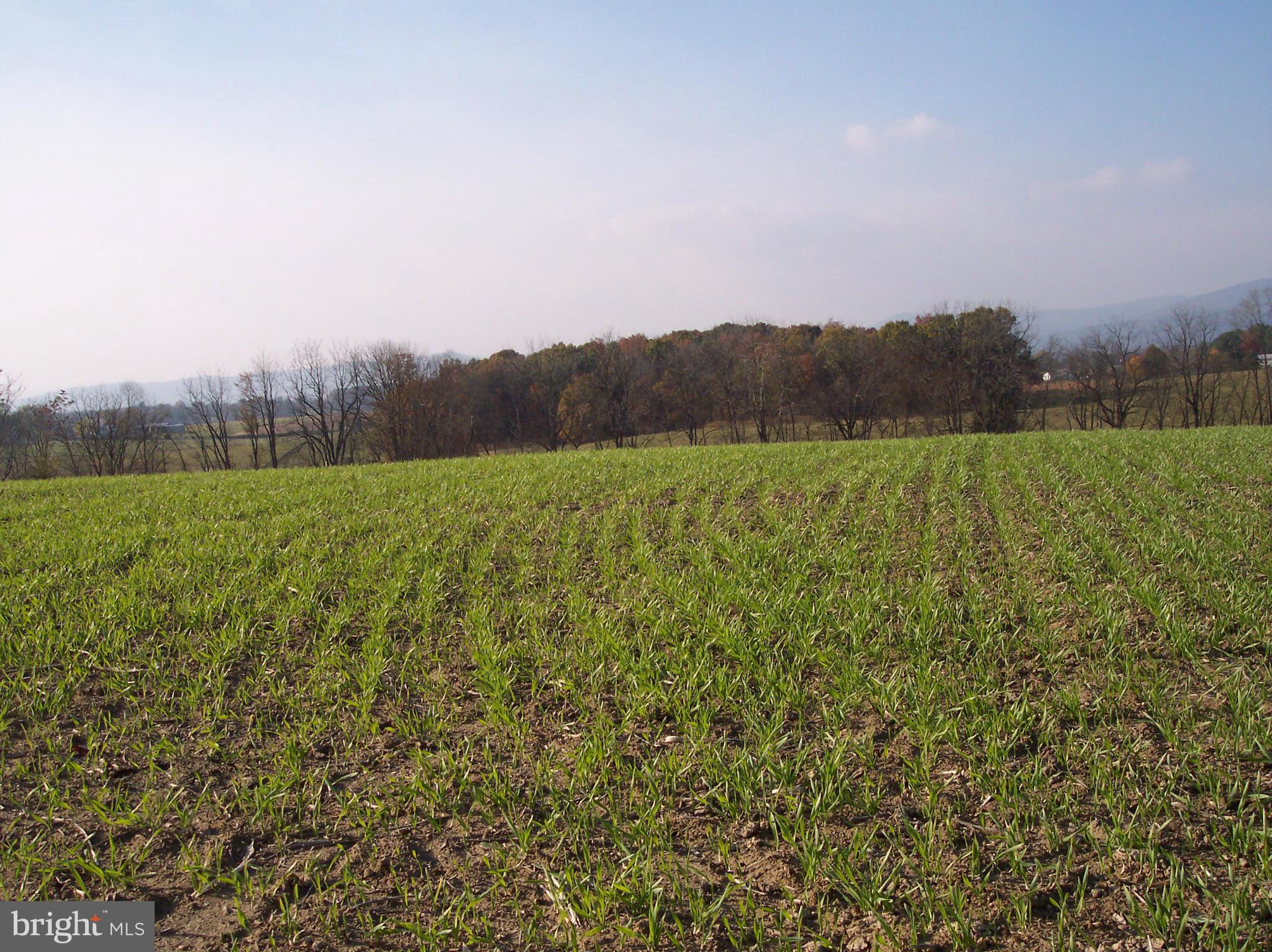 NONE AVAILABLE - Land