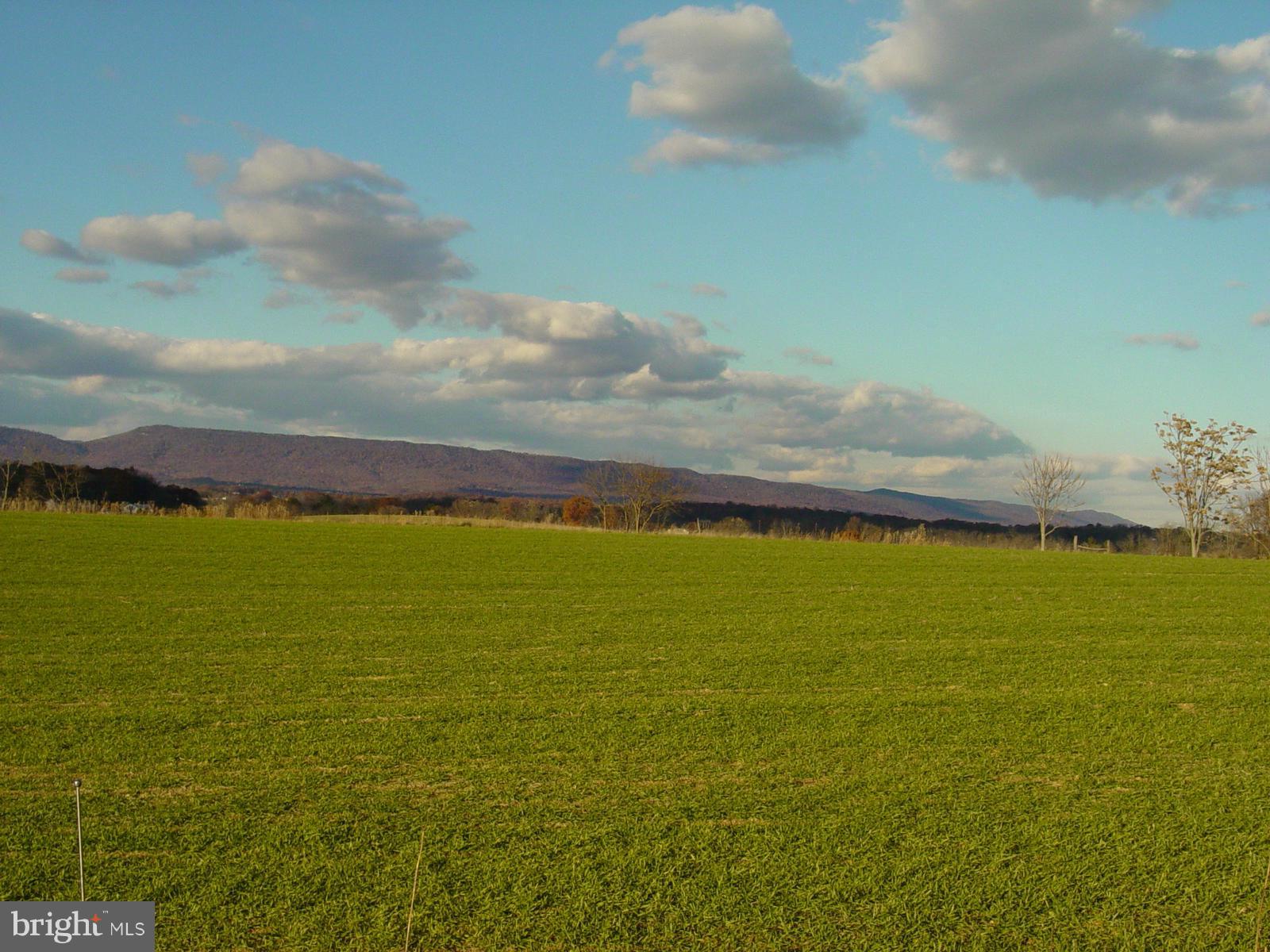 NONE AVAILABLE - Land