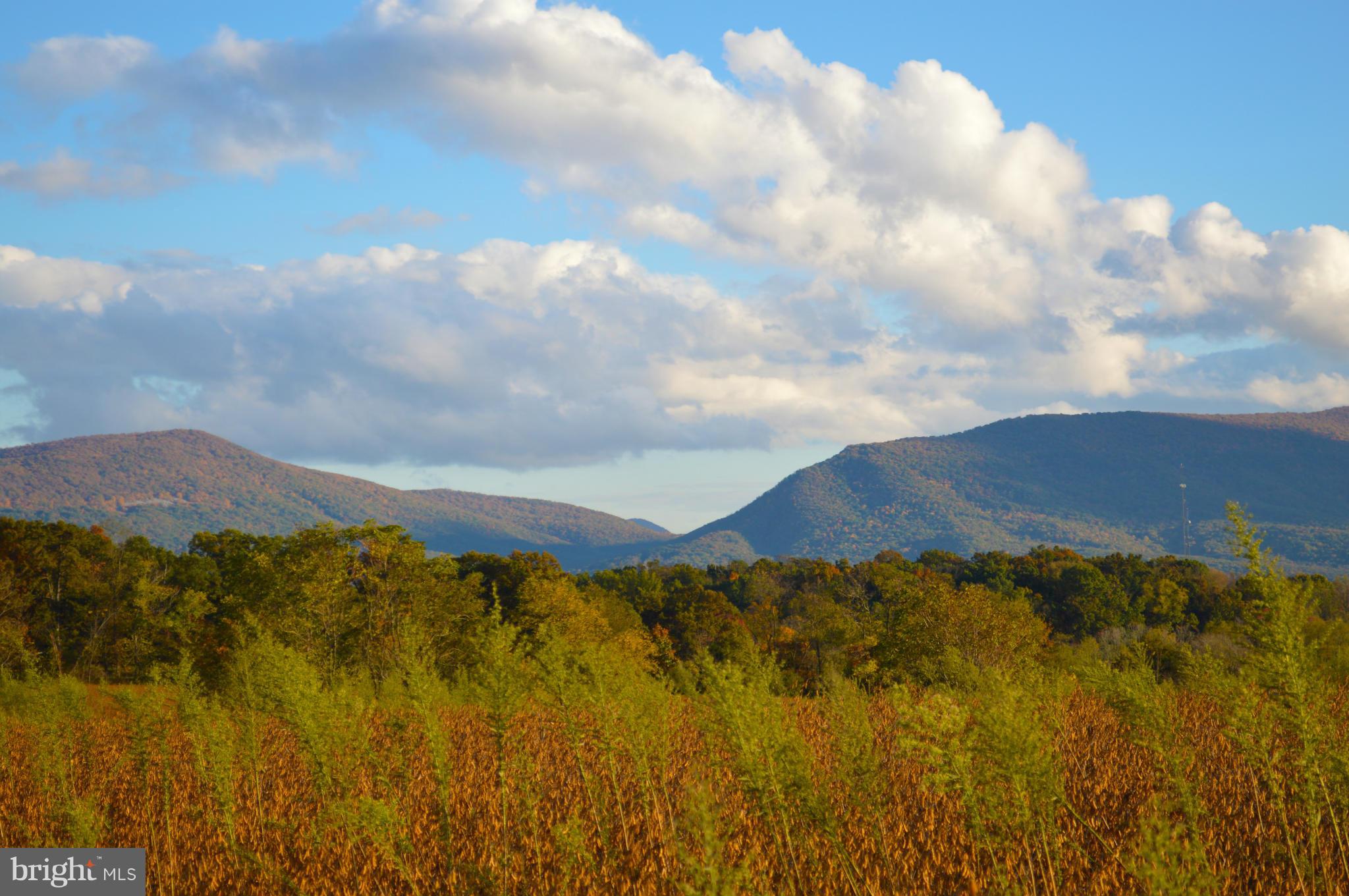 NONE AVAILABLE - Land