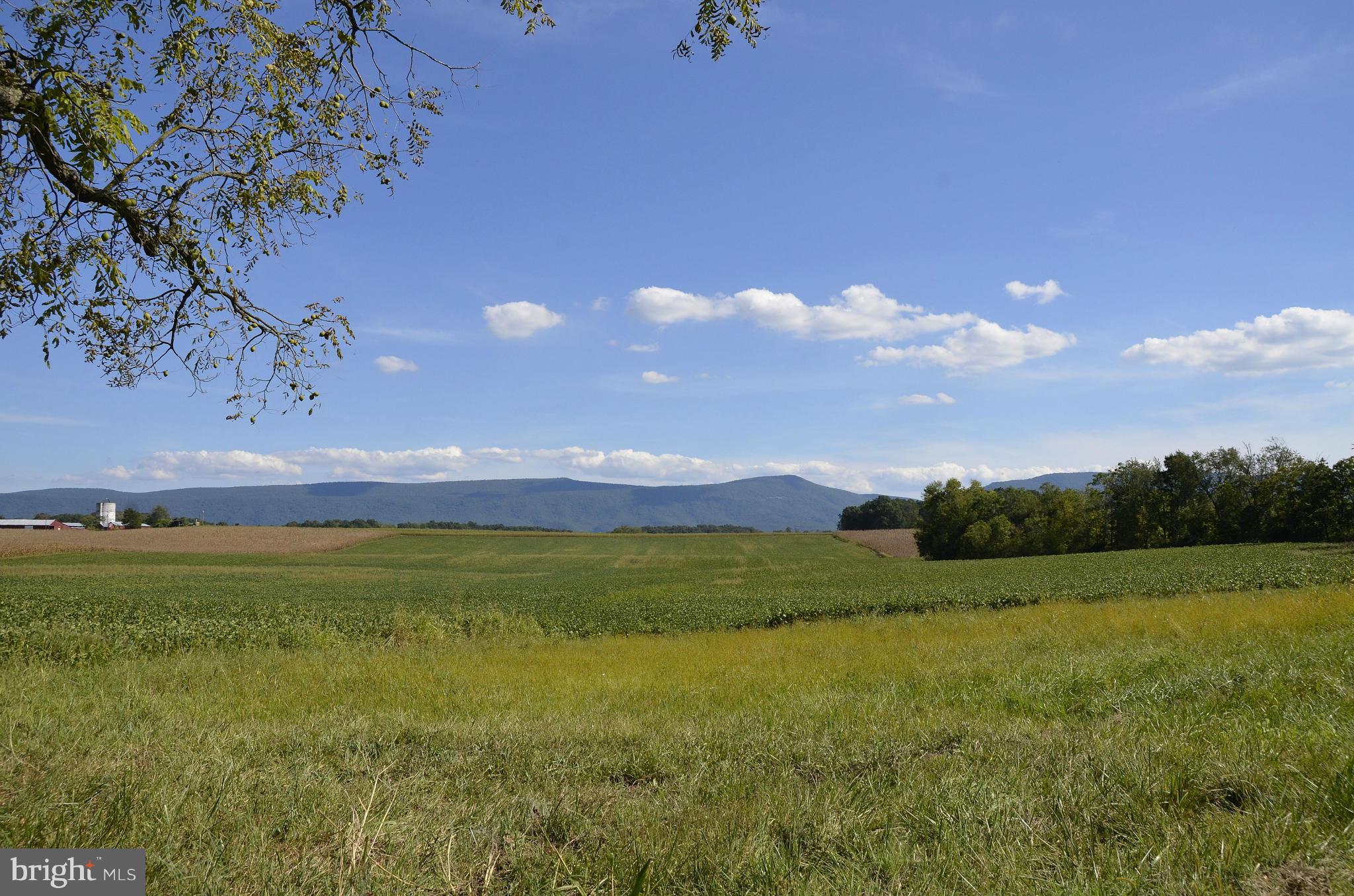 NONE AVAILABLE - Land