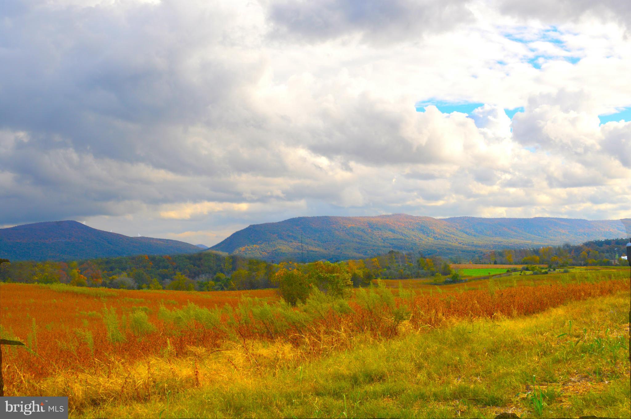 NONE AVAILABLE - Land