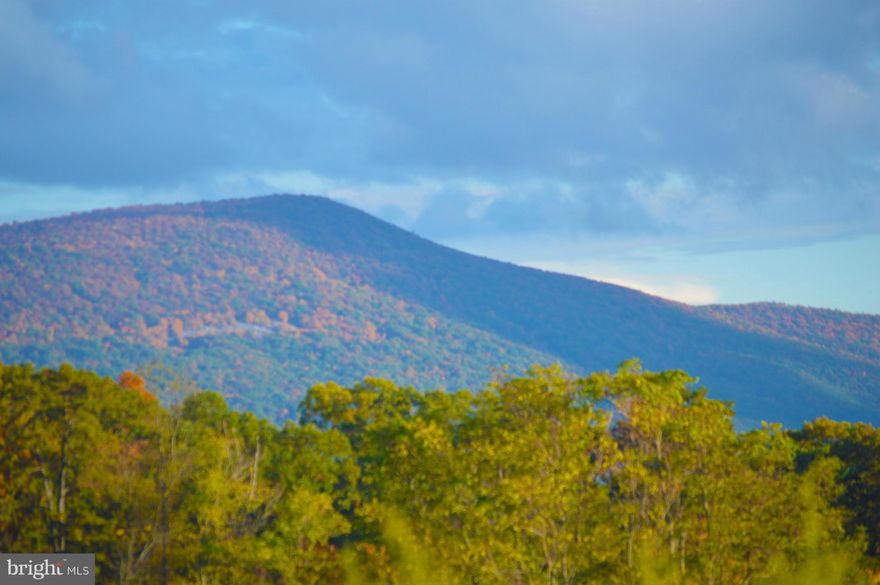Beautiful Shenandoah County!  360 degree views from this prime 481 acre parcel.  Comprised of 11 parcels, this gently sloping property offers views of the Blue Ridge, Allegheny and Massanutten Mountains.  There is a 2000 sq. ft farm house with several out buildings, pond, open fields and woods. Currently in land use with development potential.