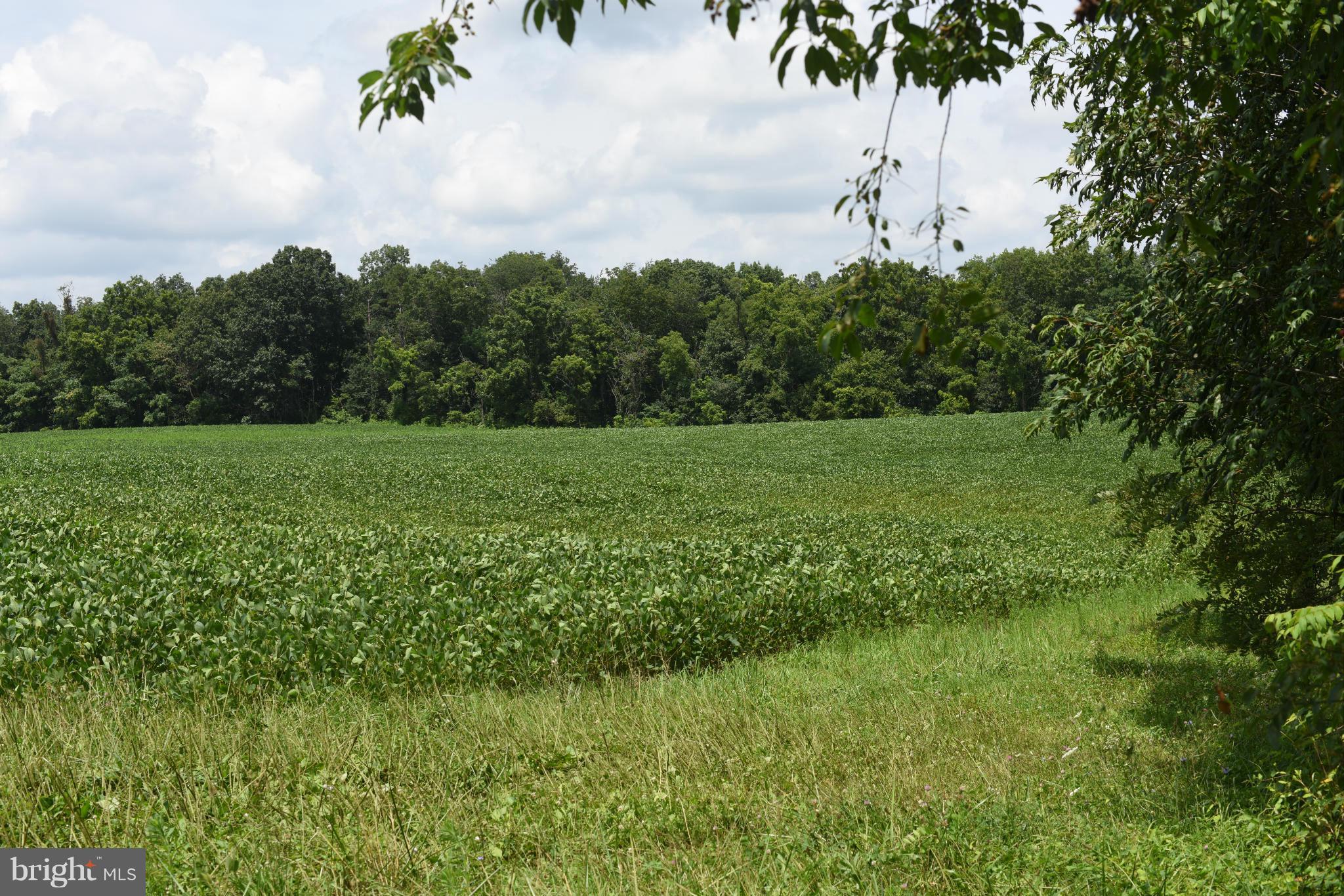 NONE AVAILABLE - Land