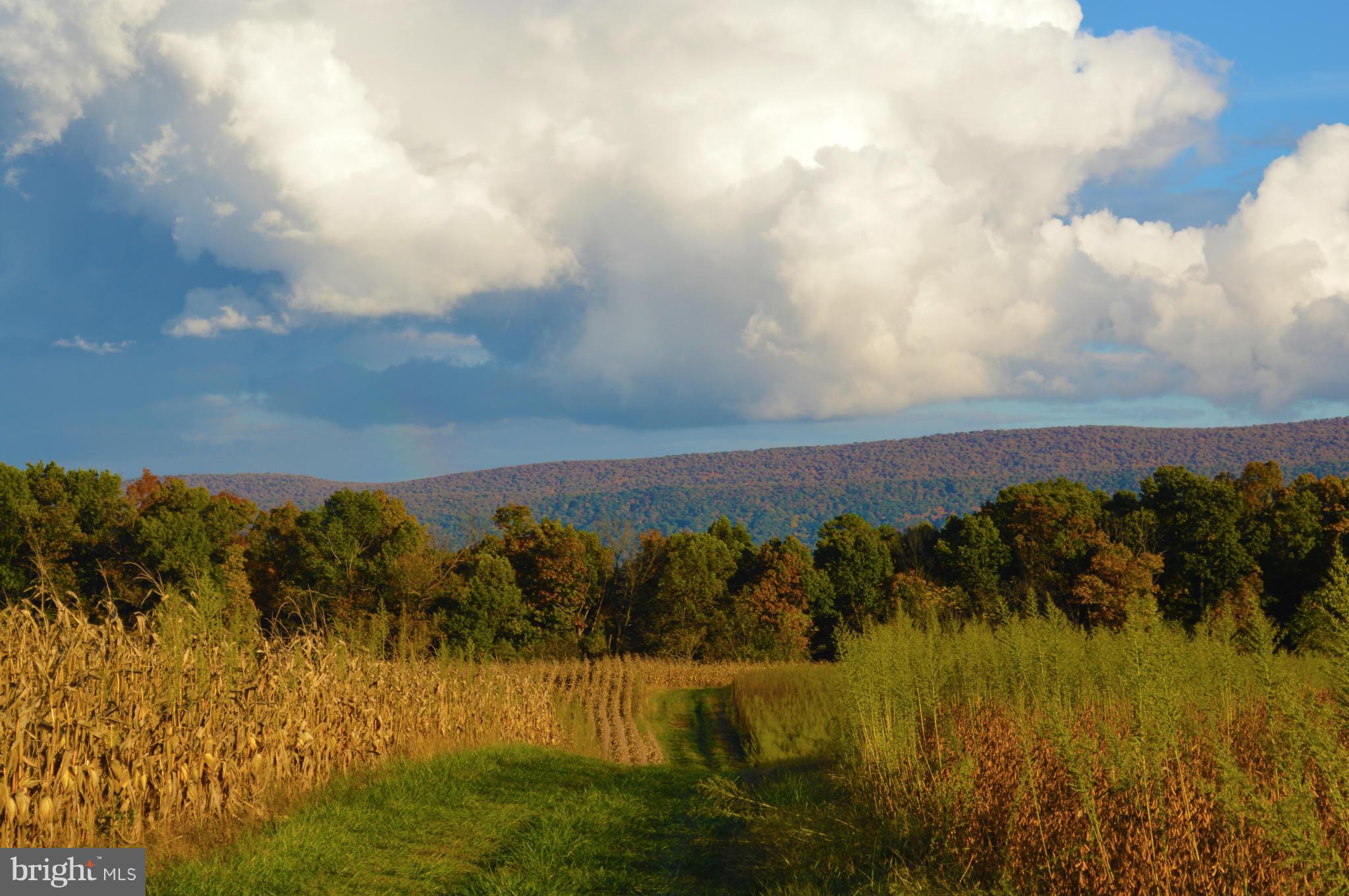 NONE AVAILABLE - Land