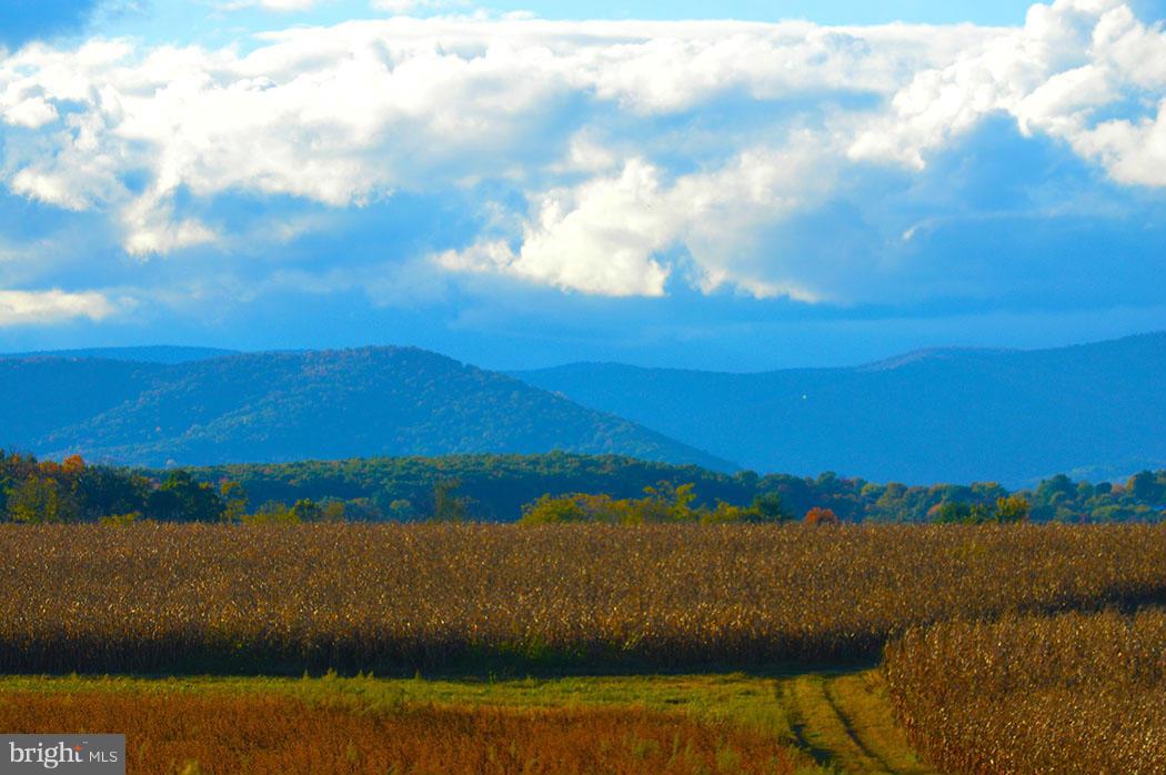 NONE AVAILABLE - Land