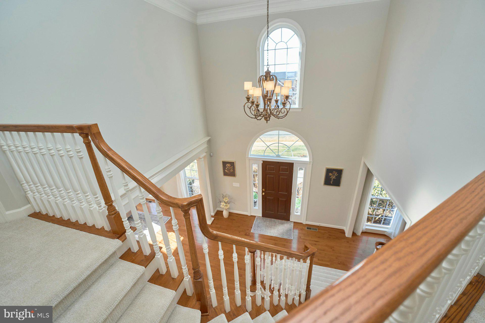 HOLLY RIDGE AT LAWNVALE - Residential