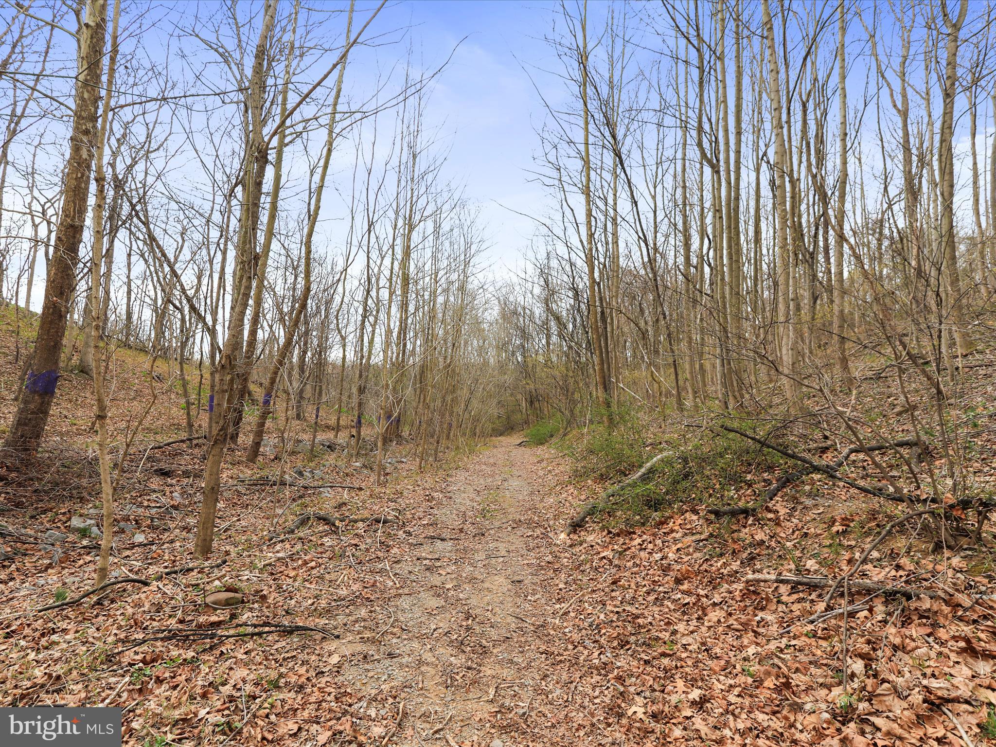 RIVERSIDE ON THE POTOMAC - Residential