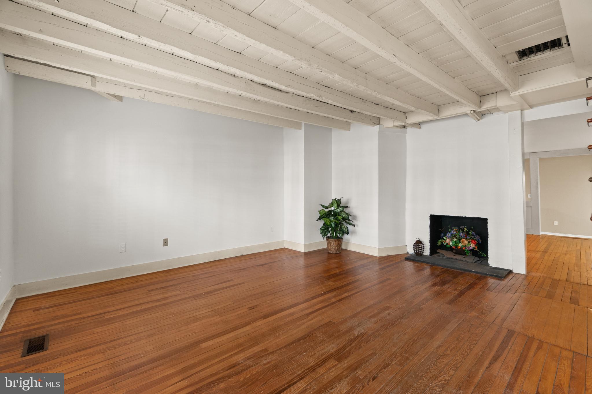 DOWNTOWN FREDERICKSBURG - Residential