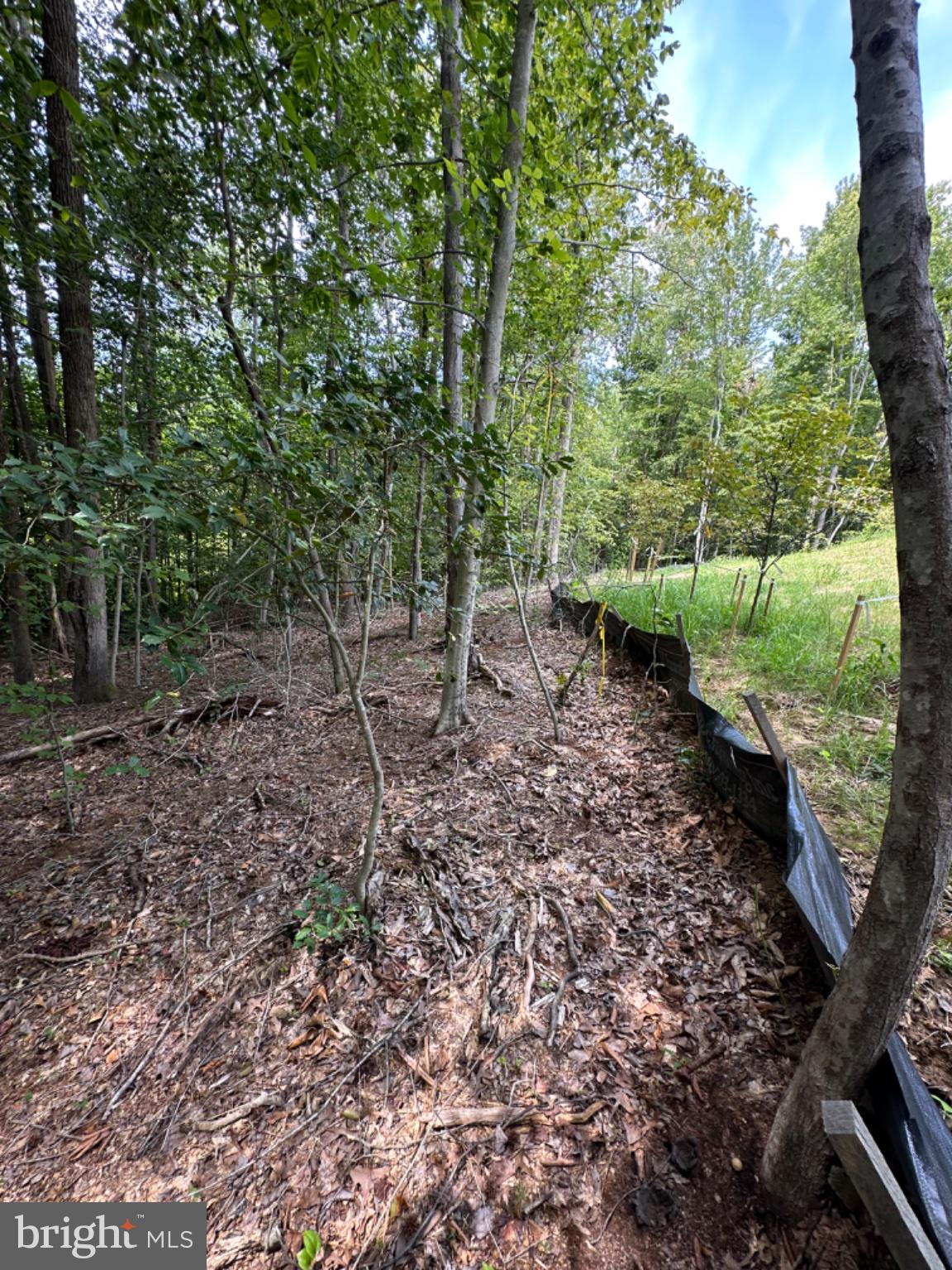 Lot 150, PRESIDENTIAL LAKES