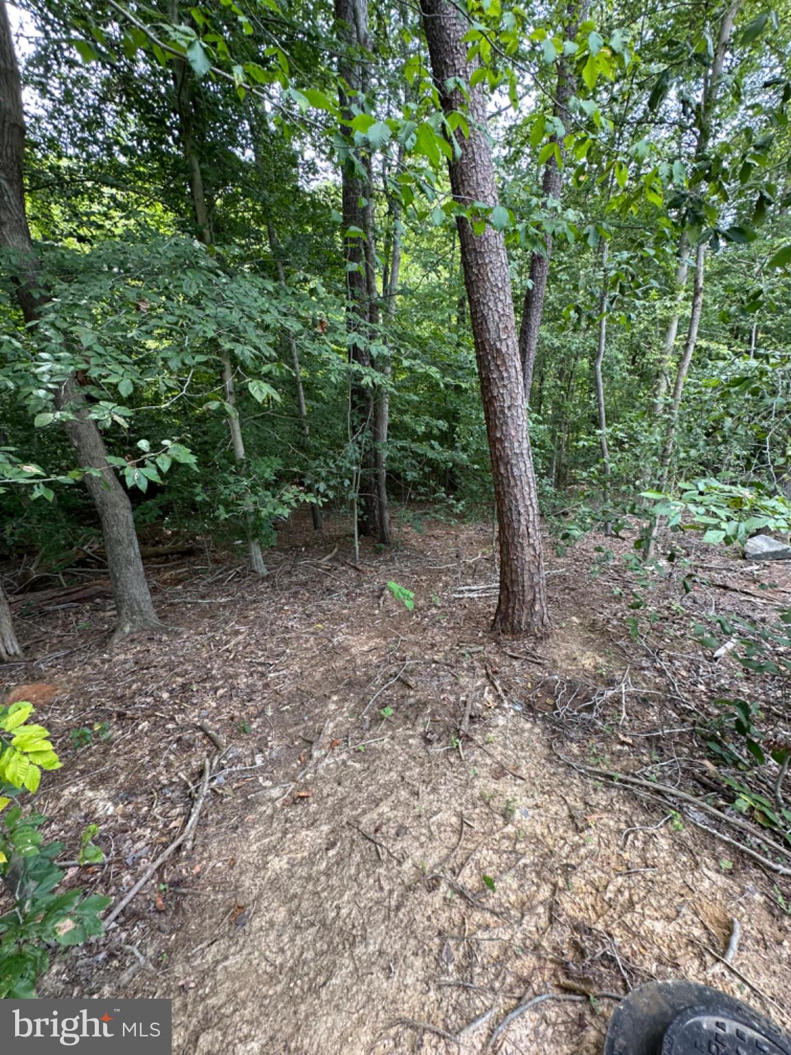 Lot 150, PRESIDENTIAL LAKES
