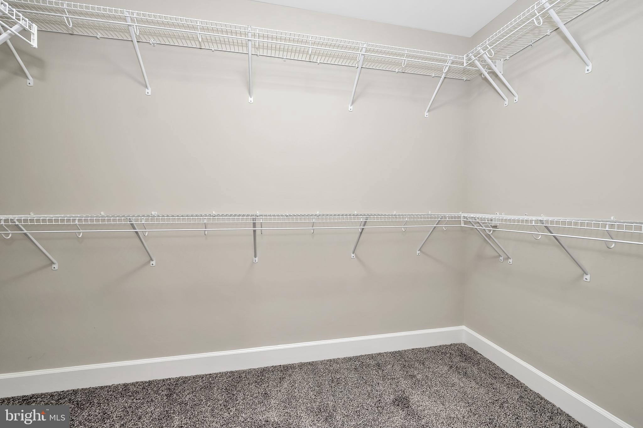 HAMILTON PARK - Residential