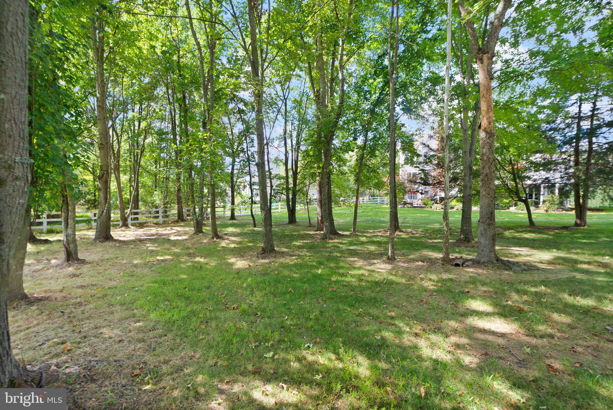 RED CEDAR - Residential