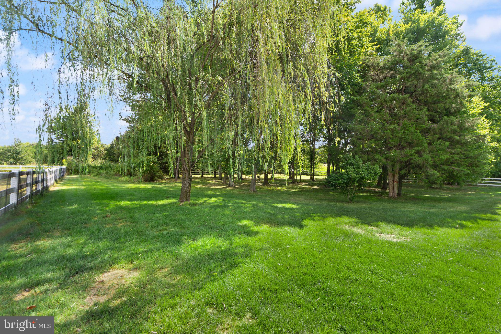 RED CEDAR - Residential