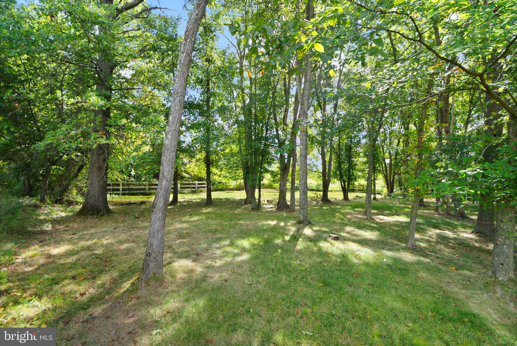 RED CEDAR - Residential