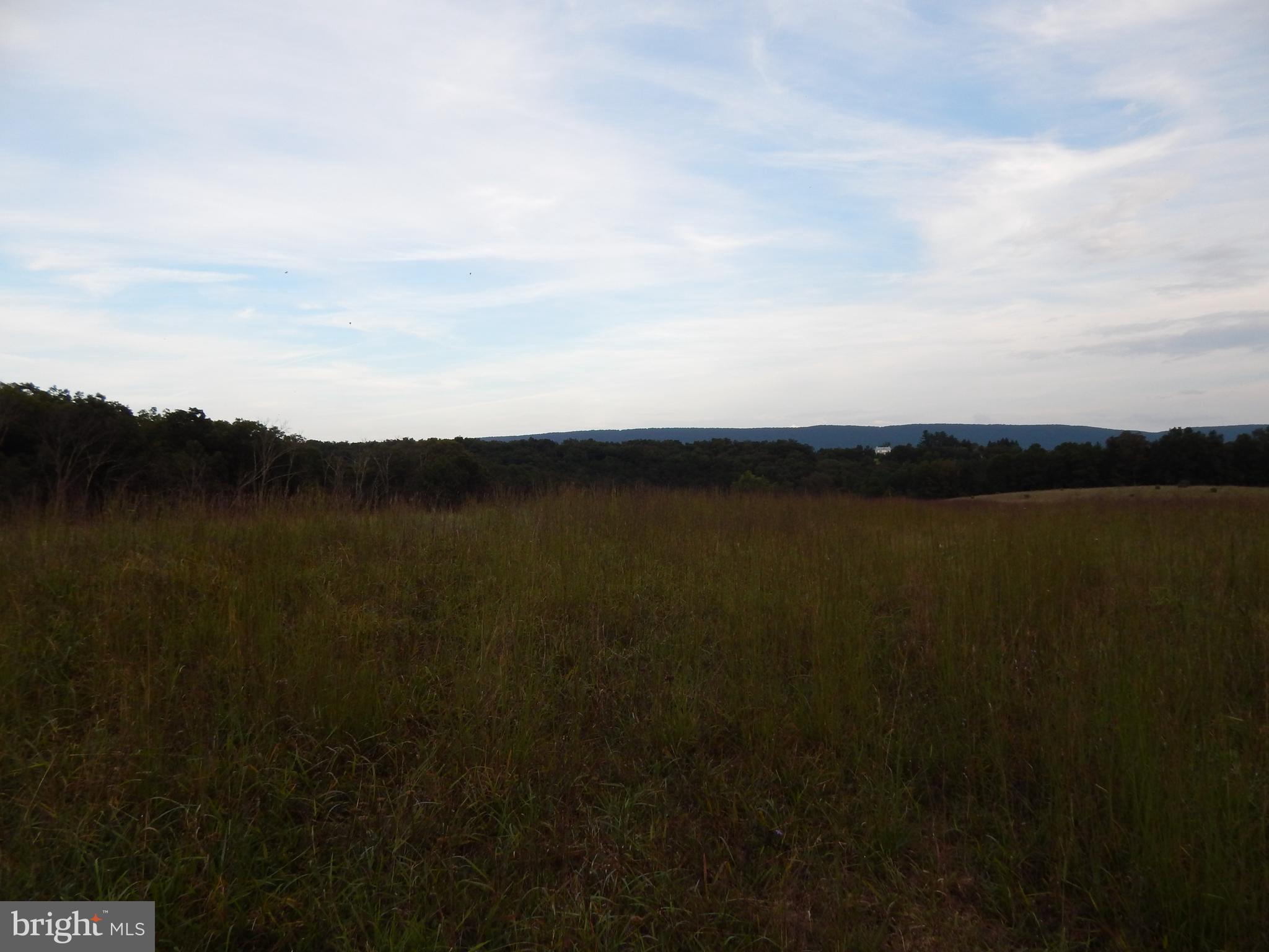 NONE AVAILABLE - Land