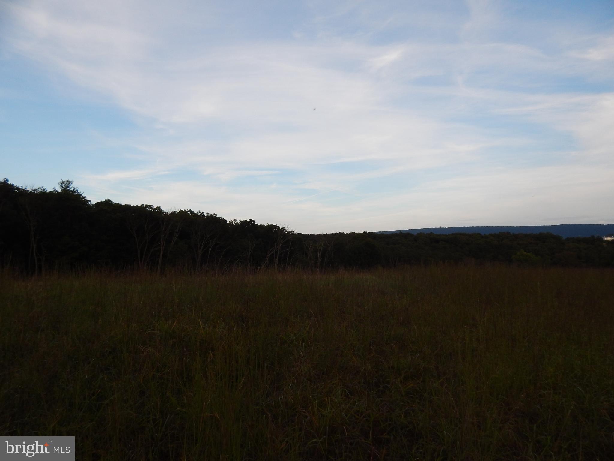 NONE AVAILABLE - Land