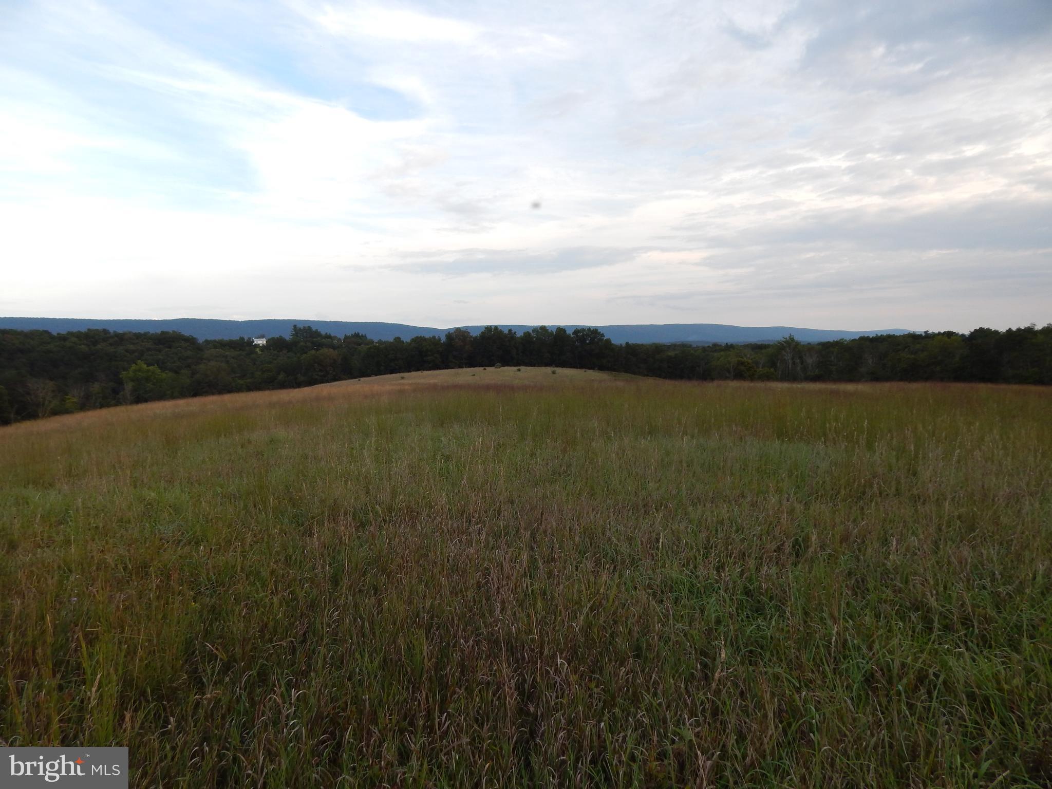 NONE AVAILABLE - Land