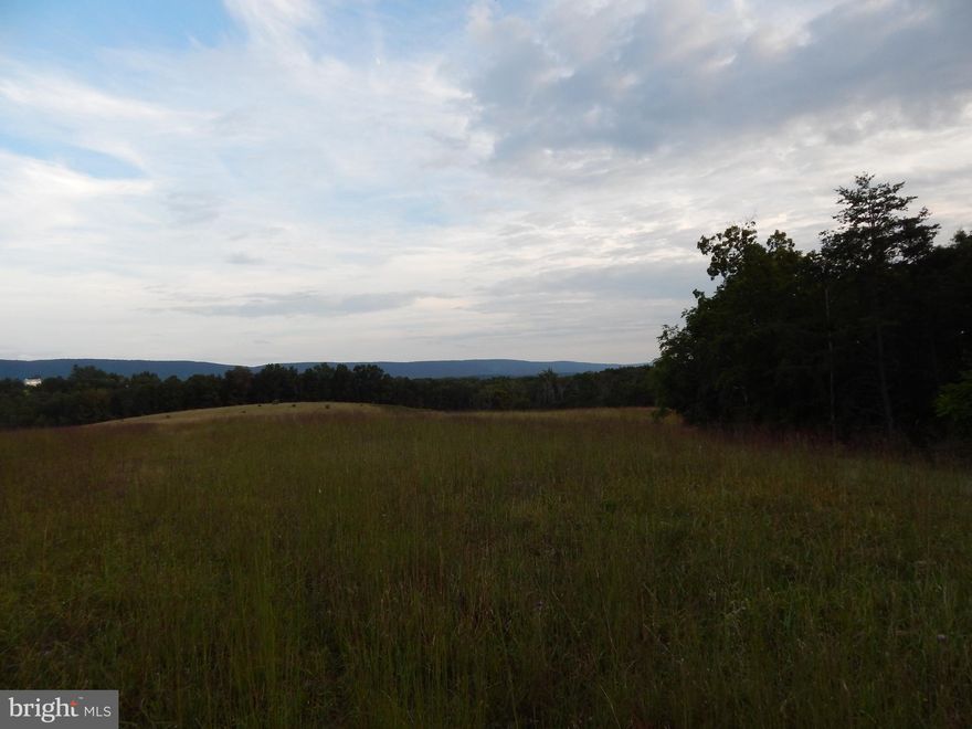 Part of the Beulah Michael Tracts.  14 Acres  with varying terrains from level to sloped.   is mostly level with a gentle slope.  Located approximately 2 miles from downtown Berkeley Springs.  Open  and wooded, unrestricted land off New Hope Road. Perfect for full or weekend home.  No perc on file.