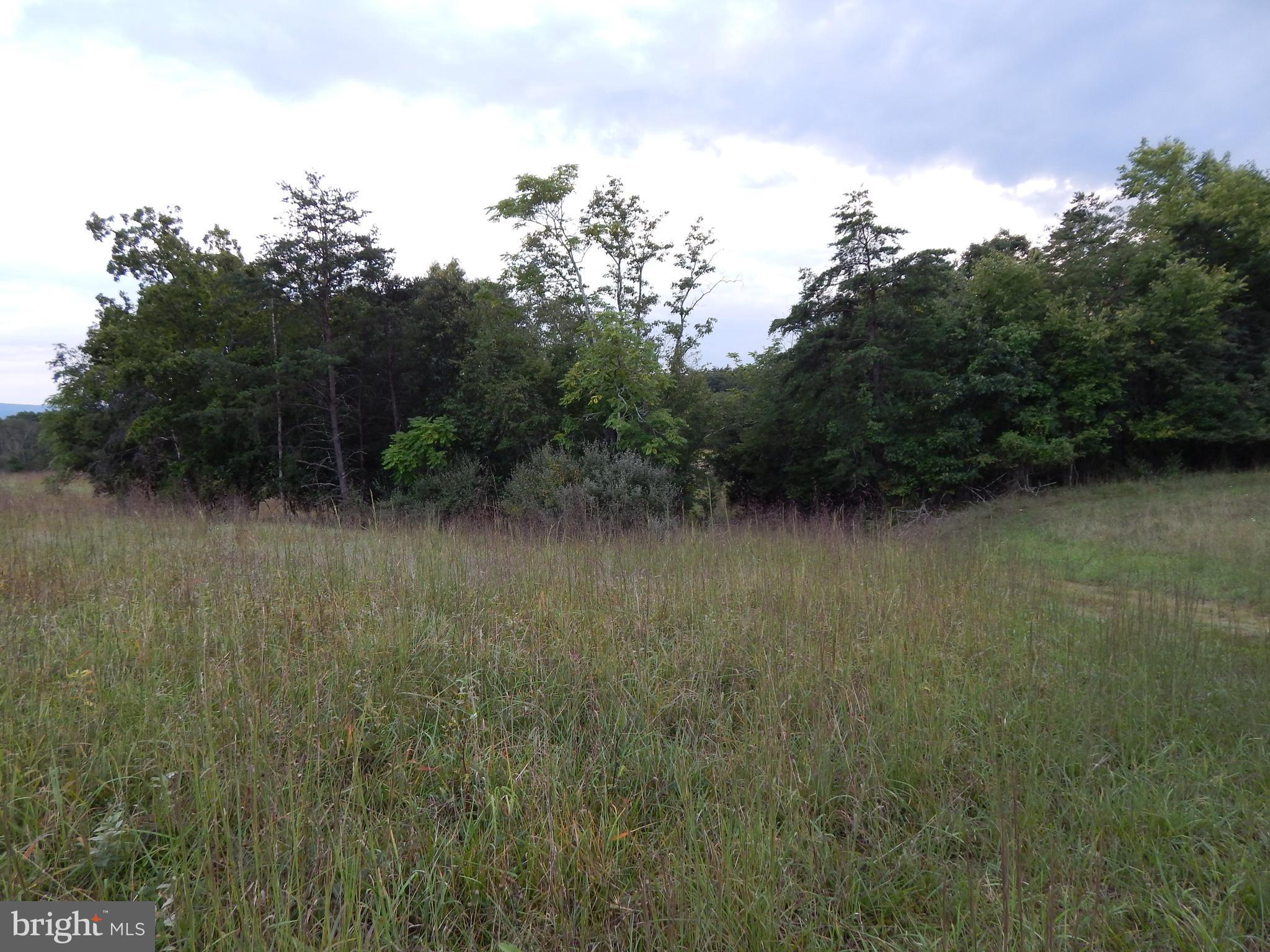 NONE AVAILABLE - Land