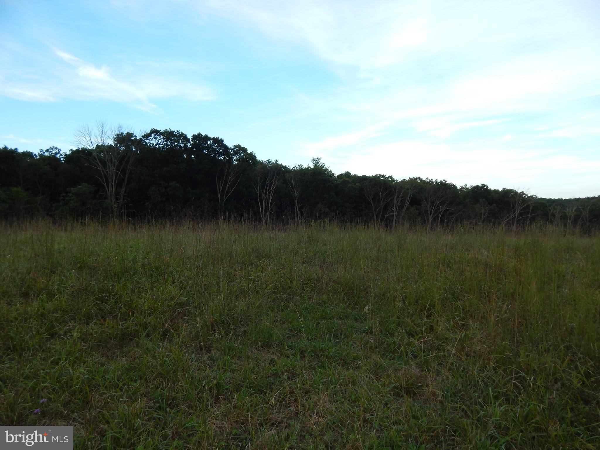 NONE AVAILABLE - Land